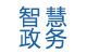 智慧政務(wù)